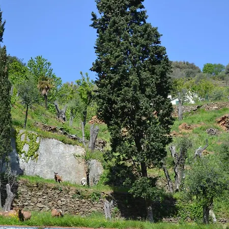 D'albertis * Crevari