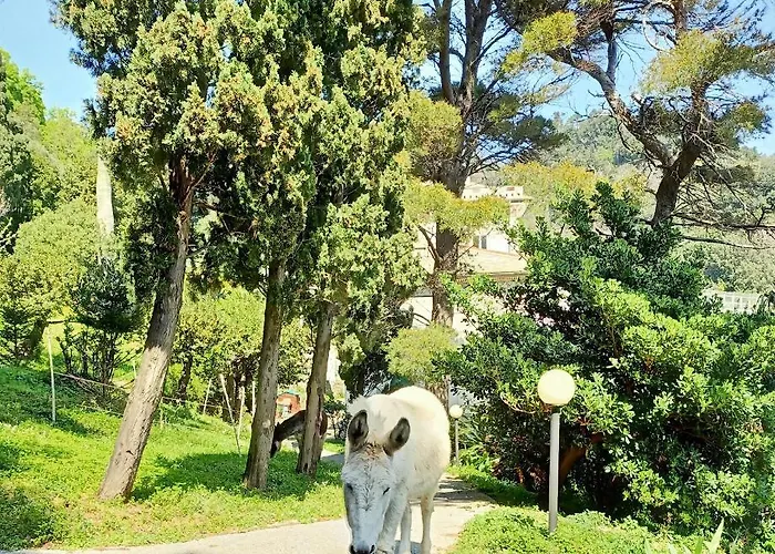 D'albertis Apartmán *