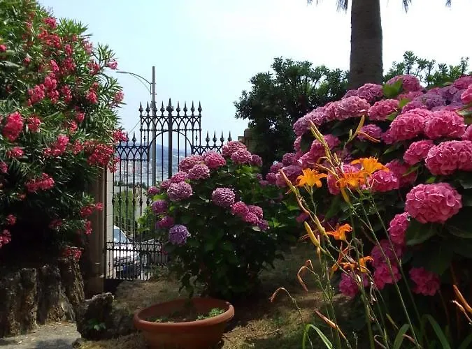 D'albertis Apartmán Crevari