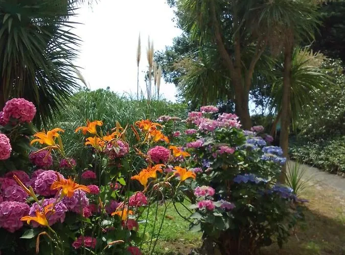 D'albertis Apartmán