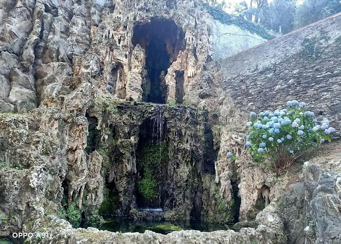 Apartmán D'albertis