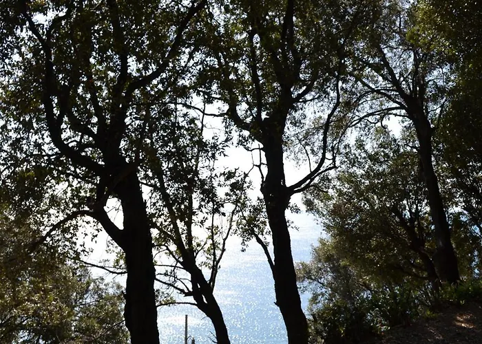 D'albertis Apartmán *