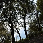 D'albertis Apartman *