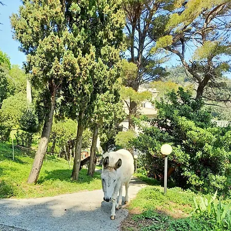 Villa D'Albertis Appartement *