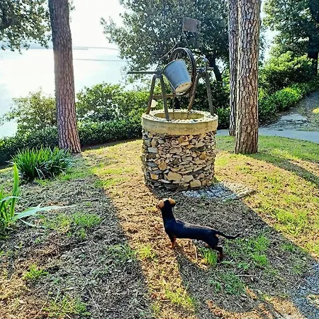 Appartement Villa D'Albertis Crevari