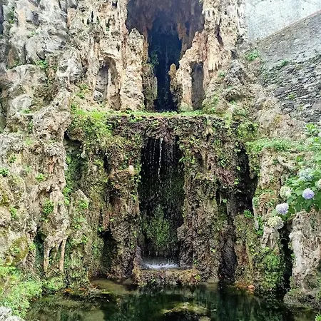 D'albertis