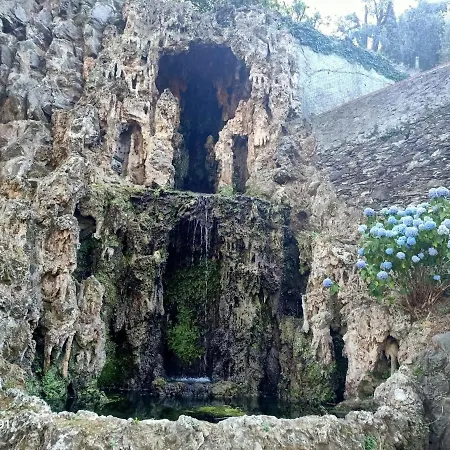 Apartman D'albertis