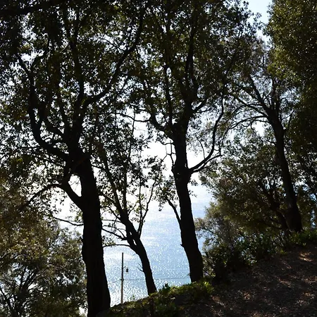 Villa D'Albertis Appartement *