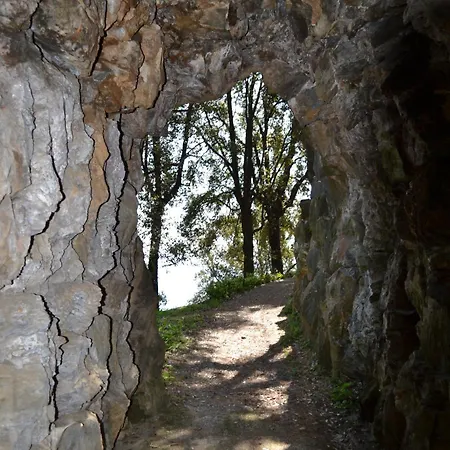 Appartement Villa D'Albertis Crevari