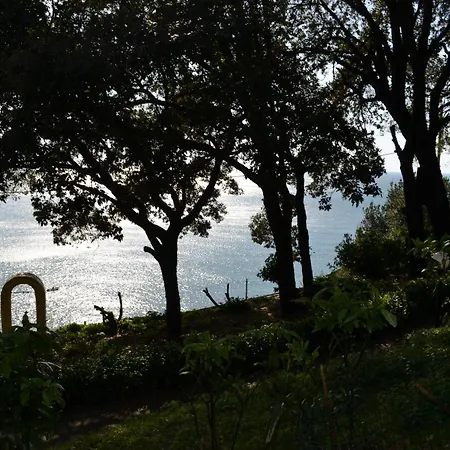 Villa D'Albertis Crevari