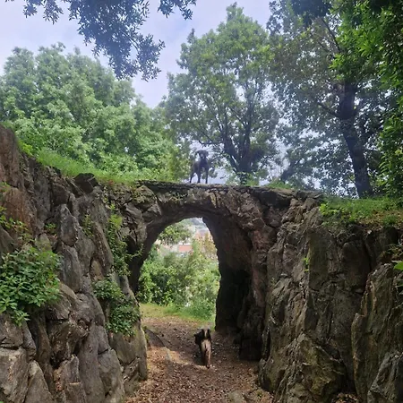 Villa D'Albertis Crevari