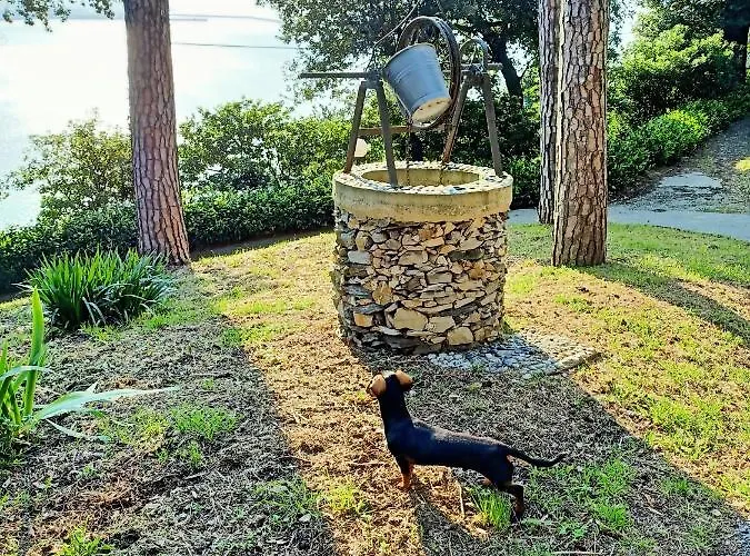 Apartmán D'albertis Crevari