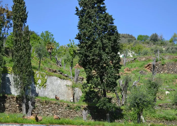 D'albertis * Crevari